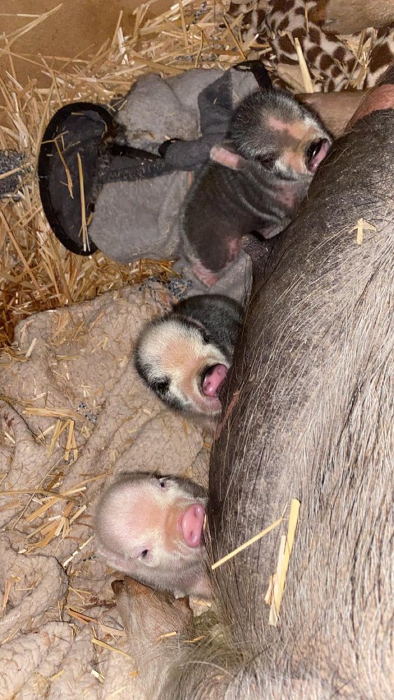 ASPEN VETERINARY CLINIC Updated October 2024 14 Photos & 60 Reviews