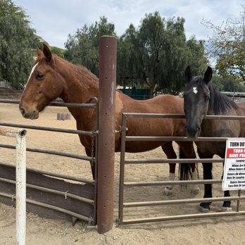 Hidden Canyon Riders - Horseback Riding Near Me - Brea, California Hidden Canyon Riders - Horseback Riding Near Me - Brea, California