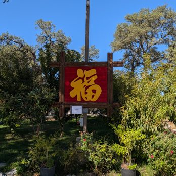 Thien Hau Temple - Religious Organizations Near Me - Austin, Texas Thien Hau Temple - Religious Organizations Near Me - Austin, Texas