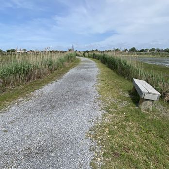 Marine Nature Study Area - Parks Near Me - Oceanside, New York