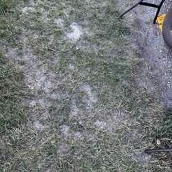Absaroka Bay Rv - "Grass" outside the trailer