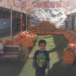 First Presbyterian Preschool - Pumpkin picking at First Presbyterian Preschool!