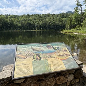 Rocky Gorge - Falls Pond - Landmarks & Historical Buildings Near Me - Conway, New Hampshire Rocky Gorge - Falls Pond - Landmarks & Historical Buildings Near Me - Conway, New Hampshire
