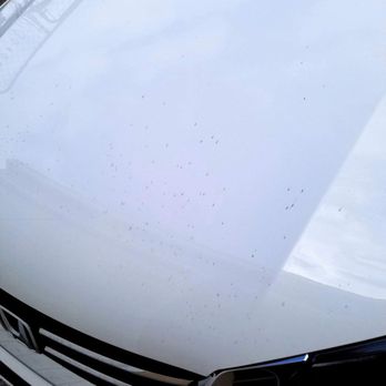 AF Mobile Auto Detailing, Ceramic Coating, & Paint Correction - So dirty! - Auto Detailing Near Me - Winter Garden, Florida