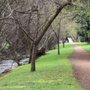 Photo of Hobart Rivulet