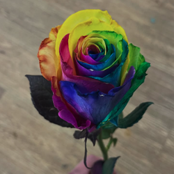 Styled Stems