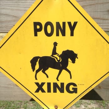 Sea Breeze Ponies - Horseback Riding Near Me - Chesapeake, Virginia