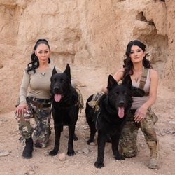 The Next Level Canine Institute - working