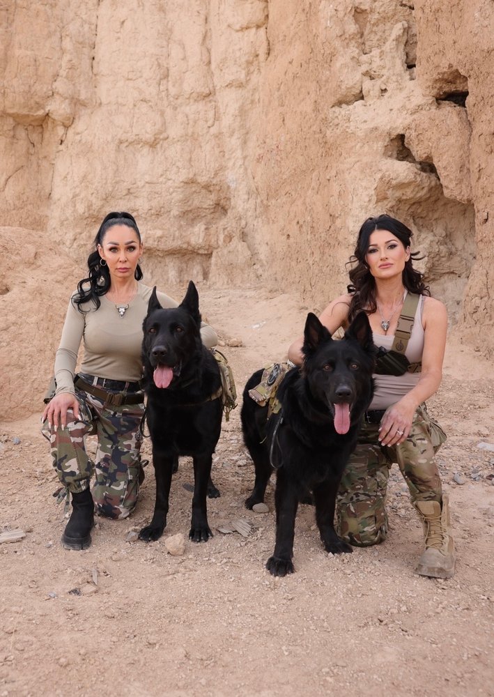 The Next Level Canine Institute - pet boarding facility in Las Vegas, NV