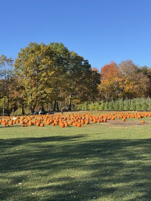 DuBois Farms by null