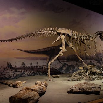 Royal Tyrrell Museum - Museums Near Me - Drumheller, Alberta Royal Tyrrell Museum - Museums Near Me - Drumheller, Alberta