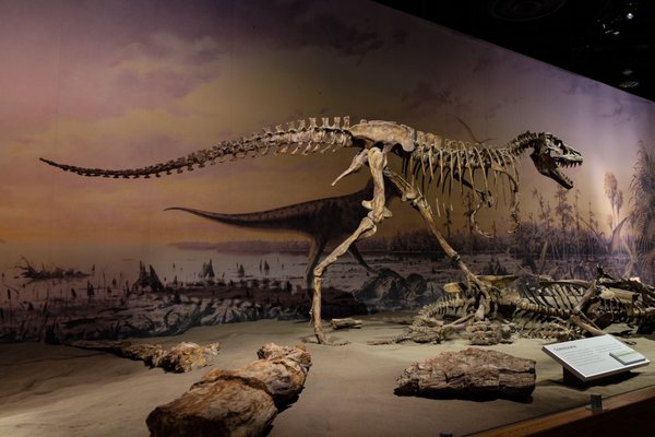 Royal Tyrrell Museum by null