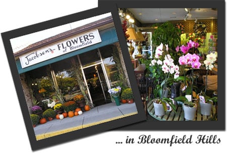 Jacobsen's Flowers by null