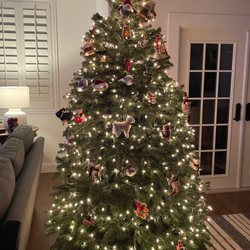 Rudolph's Christmas Trees