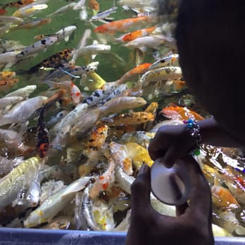 Austin Aquarium - My youngest who dumped all the fish food out at once. Lol - Aquariums Near Me - Austin, Texas