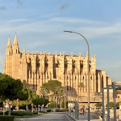 Palma