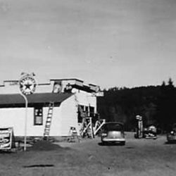 Timbers Roadhouse - The owl (Timbers Roadhouse)