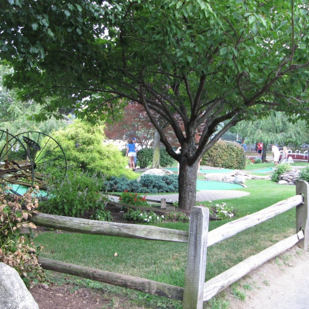 Golf Country - A Corner of the Mini Golf Course 8/2010 - Mini Golf Near Me - Middleton, Massachusetts Golf Country - A Corner of the Mini Golf Course 8/2010 - Mini Golf Near Me - Middleton, Massachusetts