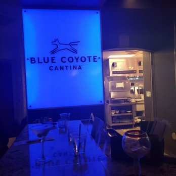 Blue Coyote Cantina - New American Near Me - Scottsdale, Arizona Blue Coyote Cantina - New American Near Me - Scottsdale, Arizona