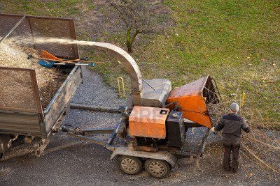 Mason's Tree Service - tree service in Virginia Beach, VA