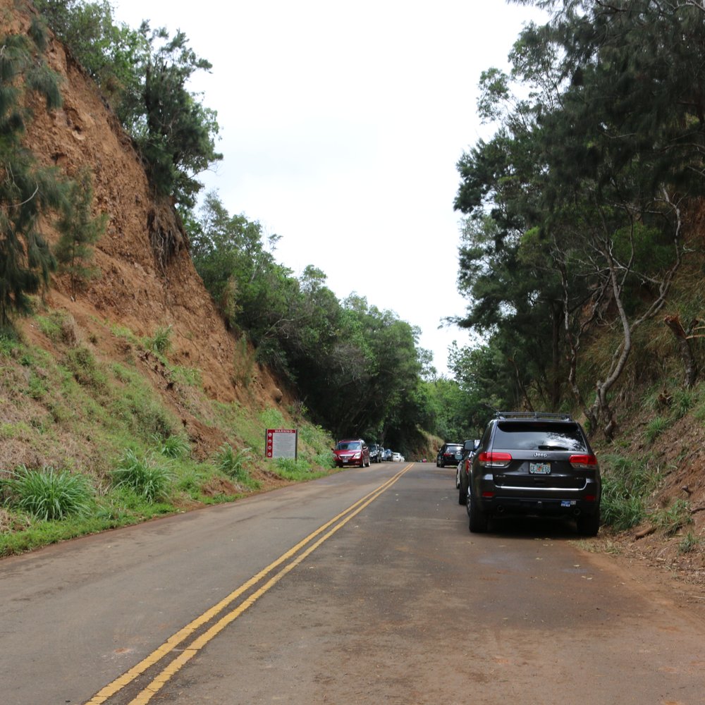 Kolekole Pass Road - The road situation...slow down... - Local Flavor Near Me Kolekole Pass Road - The road situation...slow down... - Local Flavor Near Me