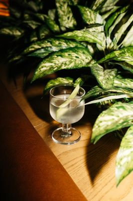 Close Company Bar by null