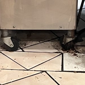 Paradise Yogurt on Yelp