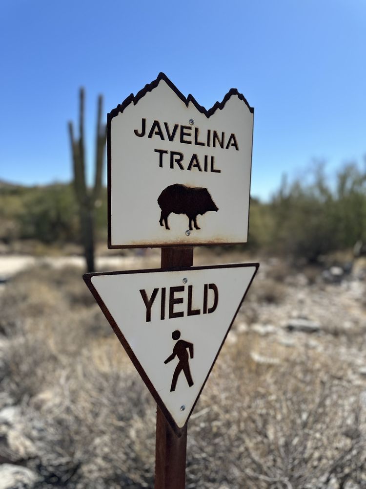 Scottsdale Electric Bikes Logo