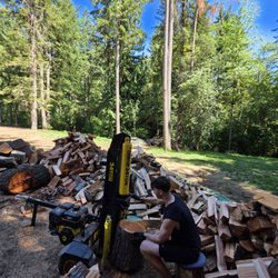 Evergreen Firewood - All cut around 16inches long and split to manageable pieces