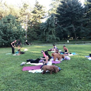 Behavior Unleashed - TAO DOG yoga summertime in Central Park NYC - Pet Training Near Me