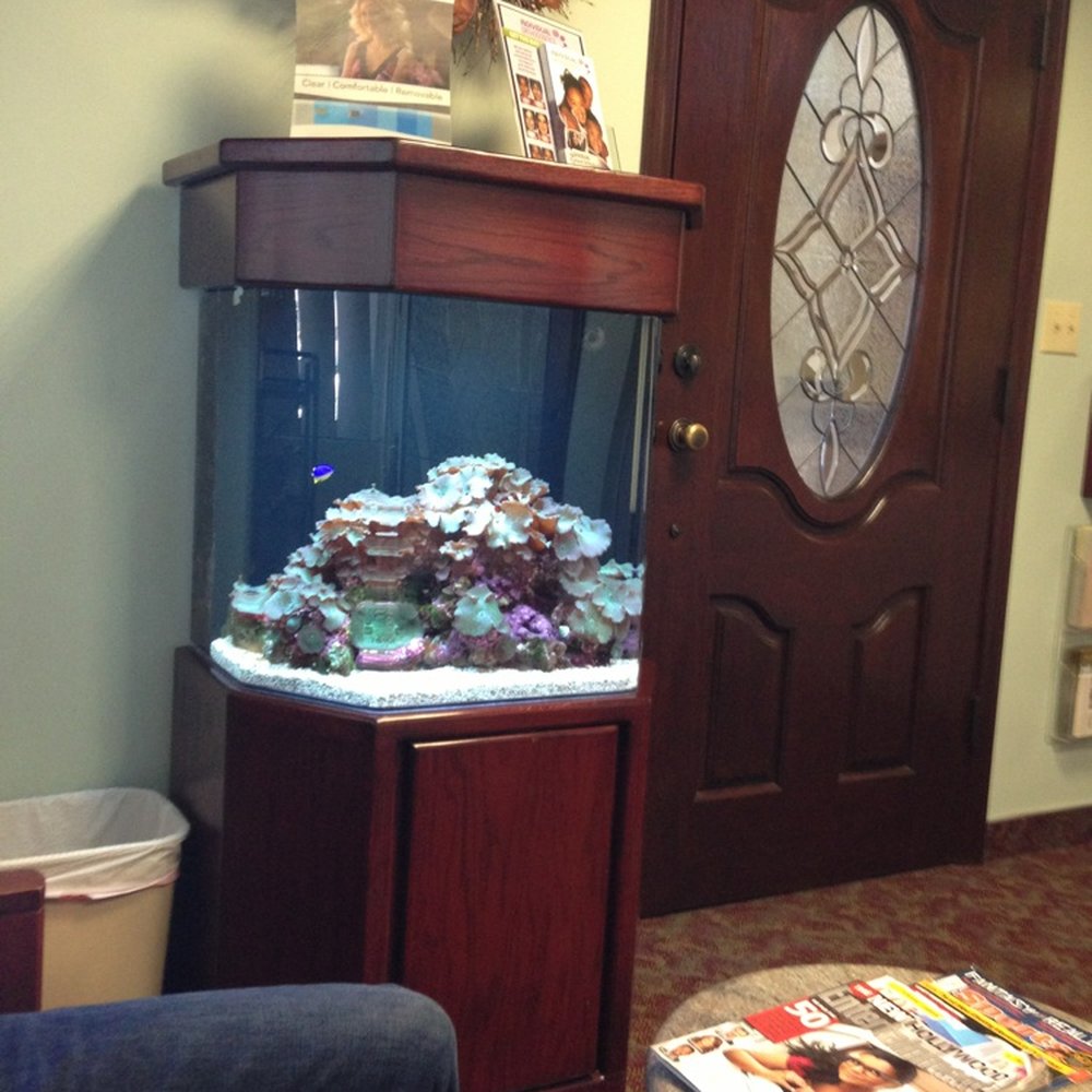 Stephen J Giovanisci, DDS - Aquarium. - Orthodontists Near Me - Montrose, California Stephen J Giovanisci, DDS - Aquarium. - Orthodontists Near Me - Montrose, California