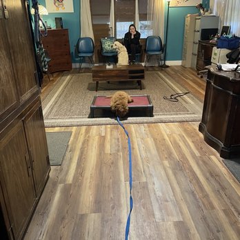 Atlanta Dog Trainer - Sprinkles in action, Tracy text me EVERY DAY and sent me photos and videos!! - Pet Training Near Me - Alpharetta, Georgia Atlanta Dog Trainer - Sprinkles in action, Tracy text me EVERY DAY and sent me photos and videos!! - Pet Training Near Me - Alpharetta, Georgia