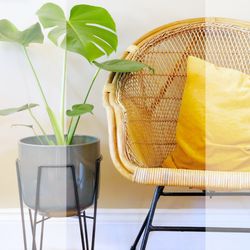 NewLeaf Property Staging - Greenery and bright accessories