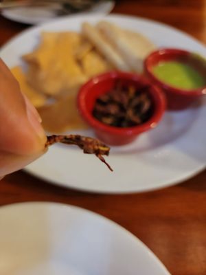 Mezcal Restaurant by null