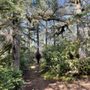 Photo of Clay Myers State Natural Area at Whalen Island