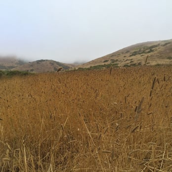 Marin Headlands - Parks Near Me - Sausalito, California