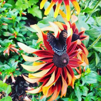Frelinghuysen Arboretum - Botanical Gardens Near Me - Morristown, New Jersey