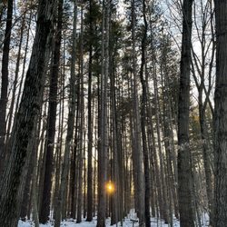 Proud Lake Recreation Area - Proud Lake State Park & Recreation Area