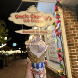 Strawberry on a waffle cone