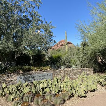 Desert Botanical Garden - Botanical Gardens Near Me - Phoenix, Arizona Desert Botanical Garden - Botanical Gardens Near Me - Phoenix, Arizona