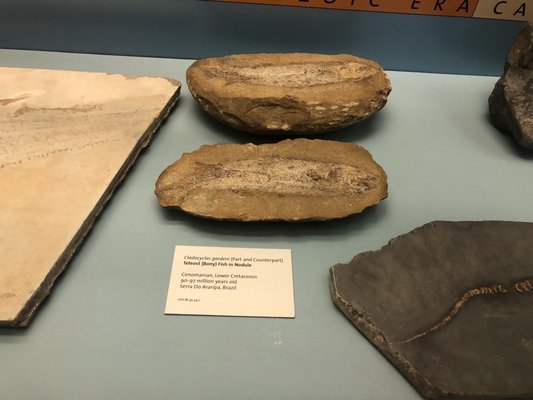 World Museum by null