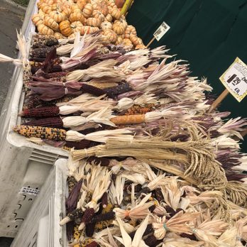 Windmill Farms - Gorgeous Indian Corn - Grocery Near Me - San Ramon, California