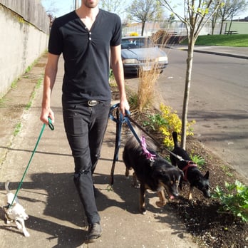 Homeward Hound - Sunny stroll with some friends. - Pet Sitting Near Me - Portland, Oregon Homeward Hound - Sunny stroll with some friends. - Pet Sitting Near Me - Portland, Oregon