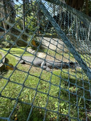 Davao Riverfront Crocodile Park & Zoo by null