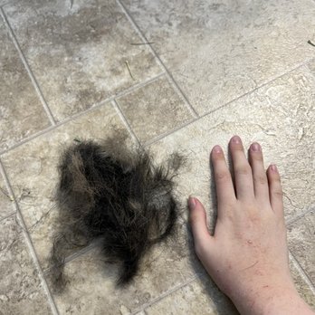 Idlewire Pet Care - Dog fur - Pet Groomers Near Me - South Ogden, Utah Idlewire Pet Care - Dog fur - Pet Groomers Near Me - South Ogden, Utah