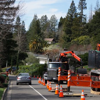 Hamilton Tree Service - TCP (Traffic Control Plan) - Tree Services Near Me - Martinez, California Hamilton Tree Service - TCP (Traffic Control Plan) - Tree Services Near Me - Martinez, California