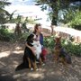 Photo of The Dog Wranglers