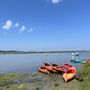 Photo of Great Marsh Kayak Tours