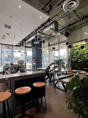 Black Canvas Coffee by null