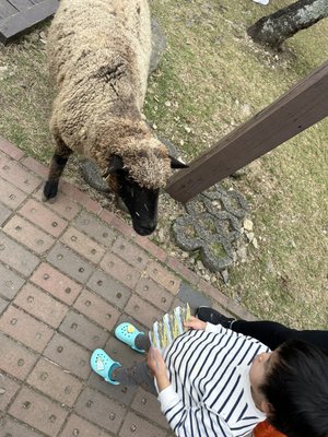 Qingjing Farm by null